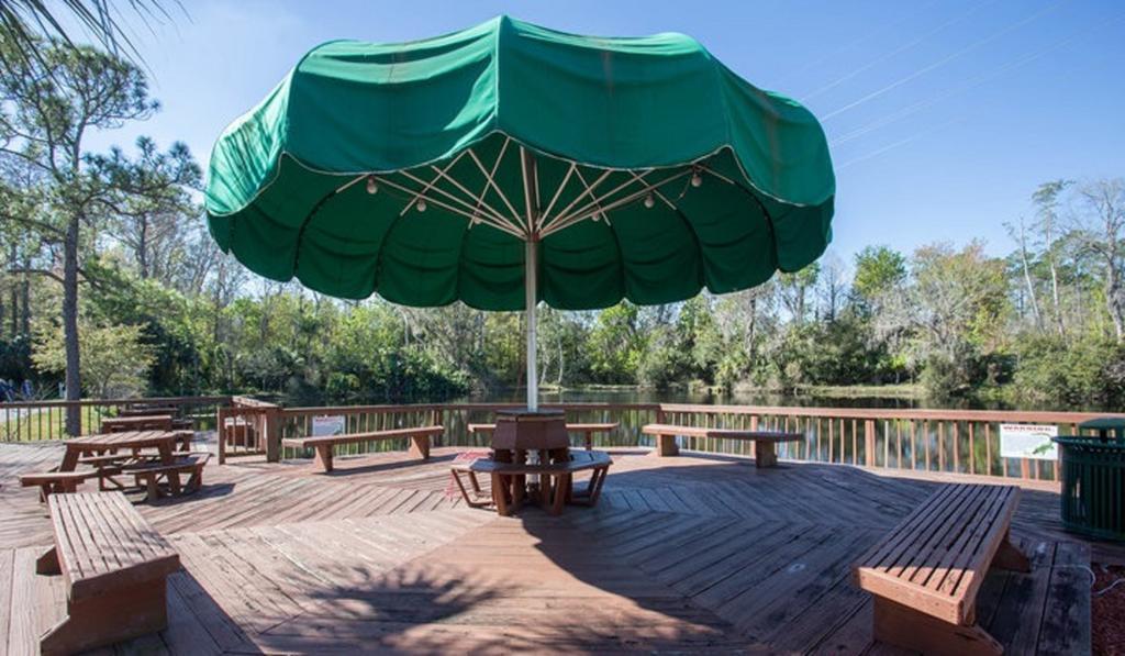 Tropical Palms Premium Two-Bedroom Loft Cottage 77 Ορλάντο Εξωτερικό φωτογραφία